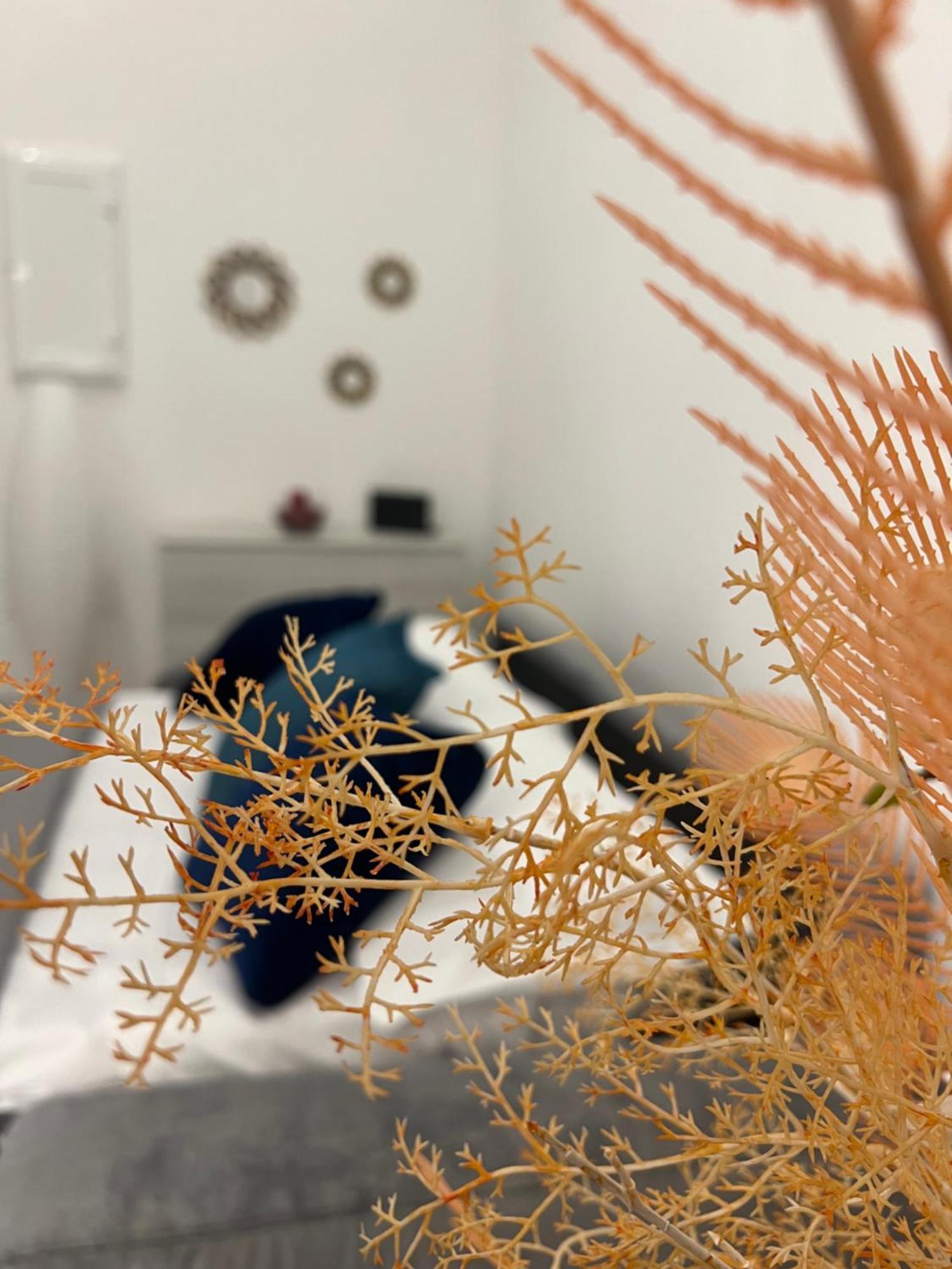 Che Casa Apartment Naples Luaran gambar